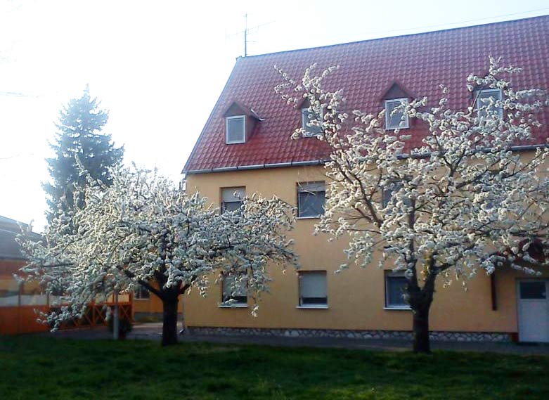 Fenyő Panzió Mezőkövesd-Zsóry Fürdő